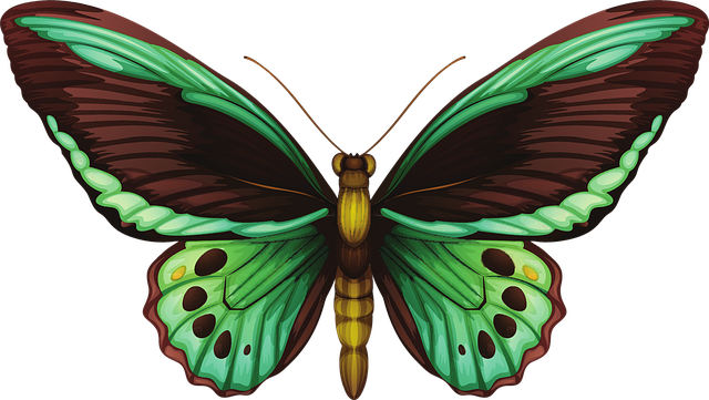 5. Realistic Aesthetics: How Porcelain Veneers Achieve Natural-Looking Results