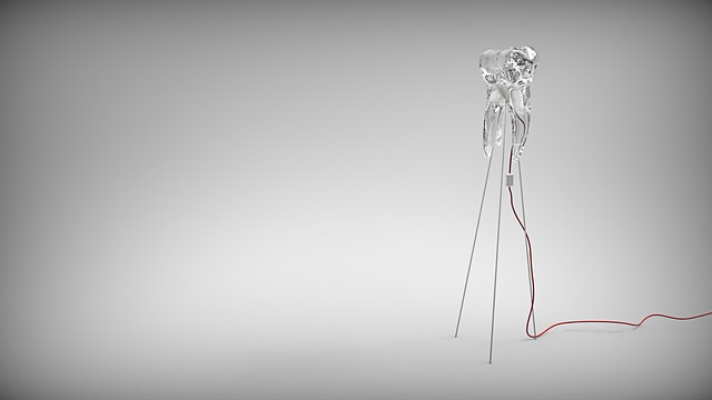 Can You Get Veneers with an Underbite? Orthodontic Solutions 6 5. The Role of Orthodontics in Addressing Underbites Before Considering Veneers