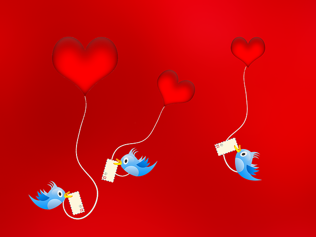 San Antonio Veneers Cost: Your Path to a Dazzling Smile 3 3. Factors Determining San Antonio Veneers Cost