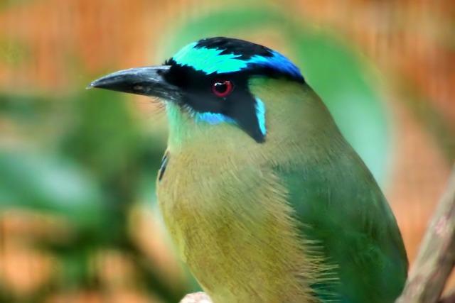 3. Introducing Bruxism Splints: The Key to Protecting Your Teeth