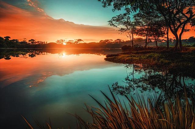 5. The Soothing Benefits of Tea Tree Oil: A Natural Antiseptic for Infected Teeth